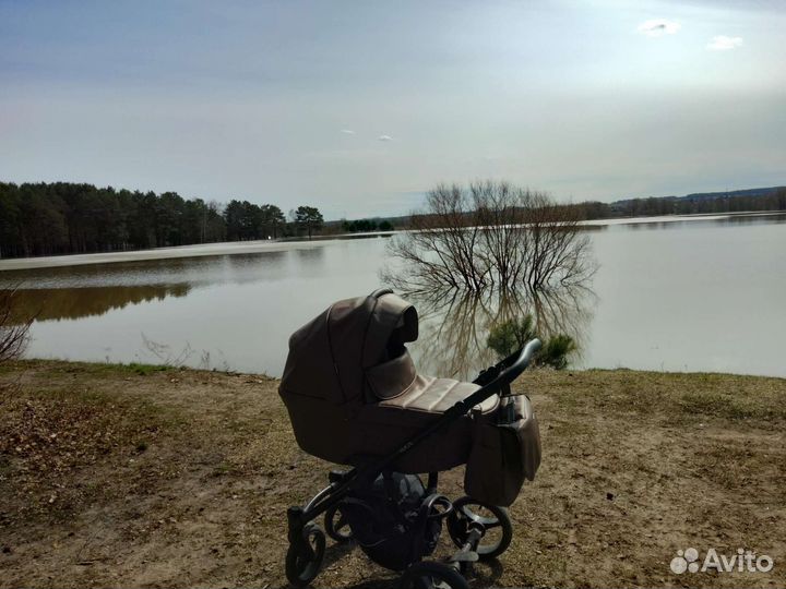 Коляска Bebetto luca pro 2 в 1