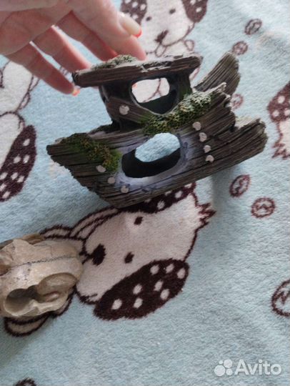 Для аквариума