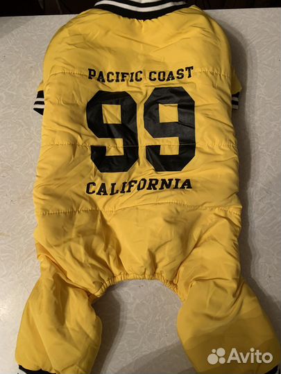 Одежда для собак