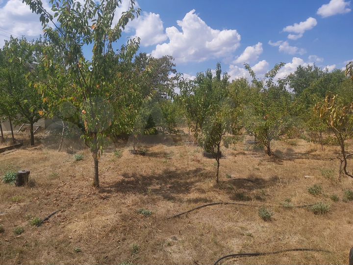 Участок 6 сот. (СНТ, ДНП)