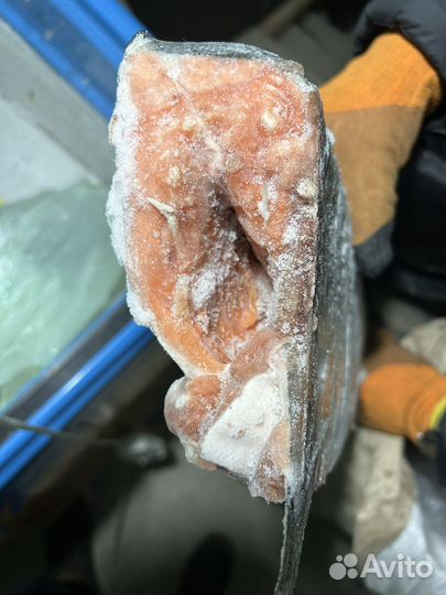 Рыба кижуч свежемороженый