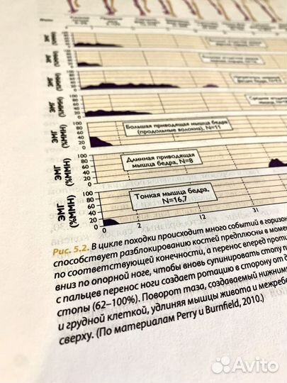 Рожденный ходить. Книга