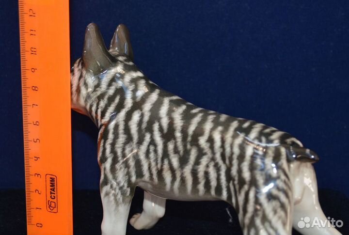 Фарфоровая статуэтка- французский бульдог.ифз
