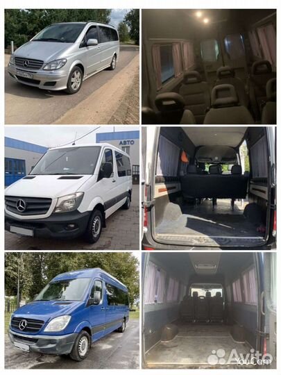 Поездки с животными РФ в Грузию,Турция,Сербия