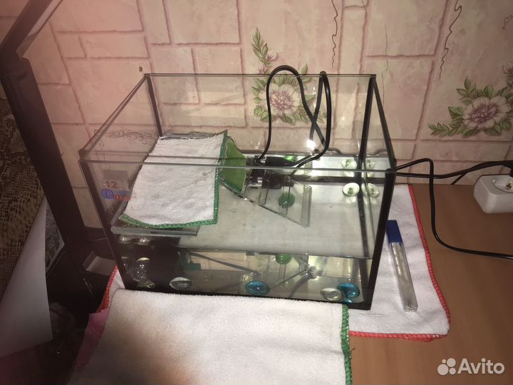Аквариум с красноухой черепашкой