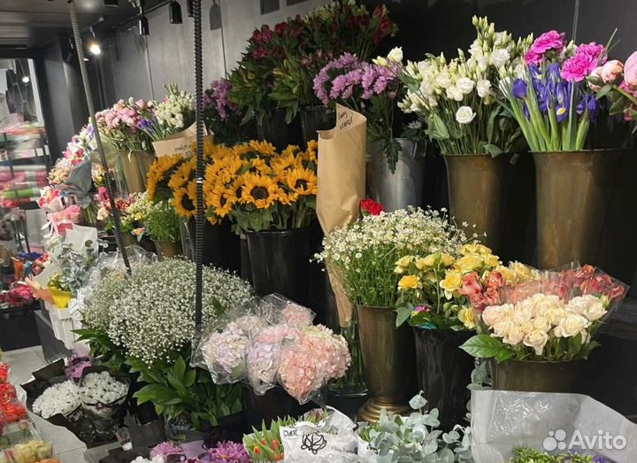 Тюльпаны опт и розница