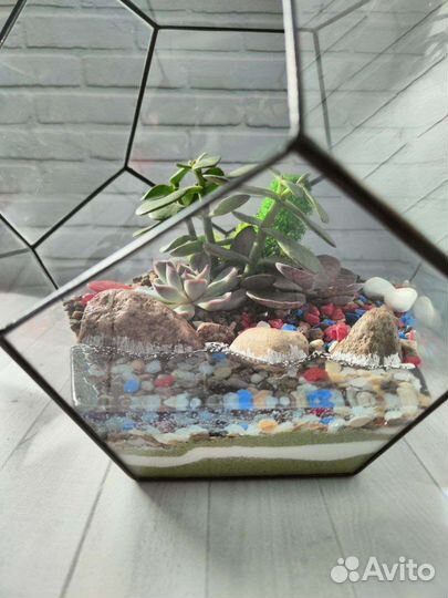 Флорариум, подарок, декор в интерьер