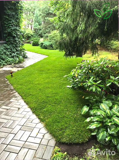 Рулонный газон. Укладка газона