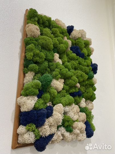 Картина из мха