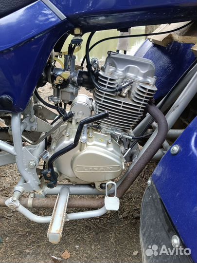 Зид Тарпан 200