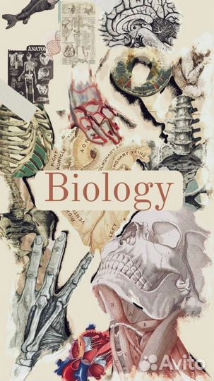 Репетитор по биологии