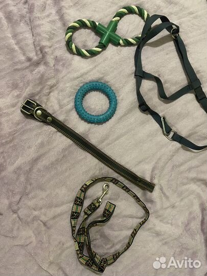 Для собак средних пород/щенков