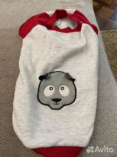 Одежда для лысой собаки