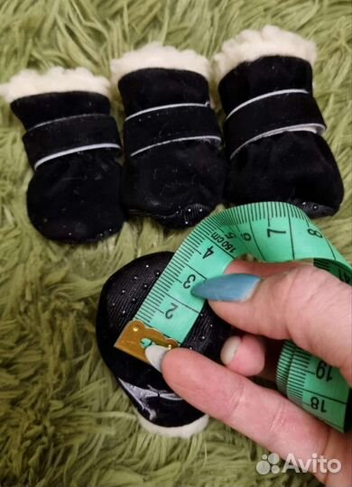 Обувь для собак