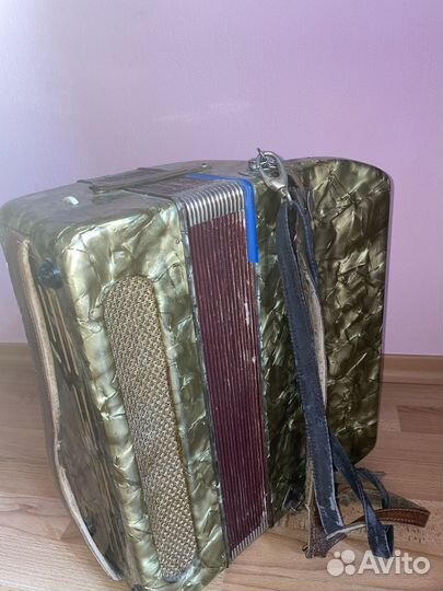 Баян итальянский