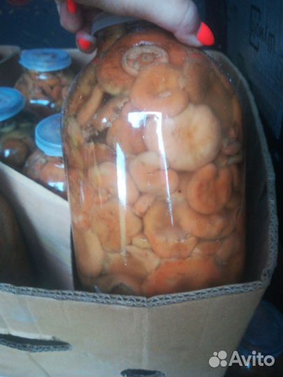 Продам солёные грибочки