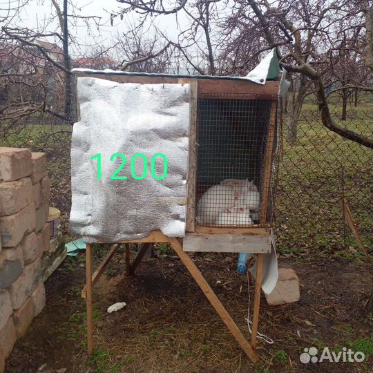 Крольчатник