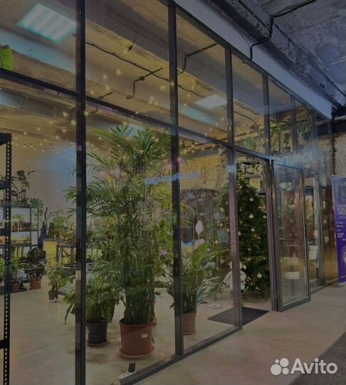 Озеленение / уход