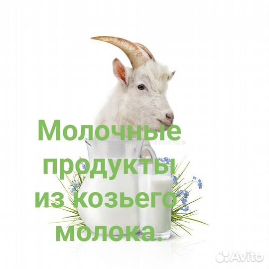 Молочные продукты