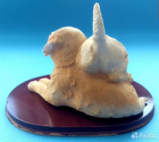 Лабрадорчики DA vinci