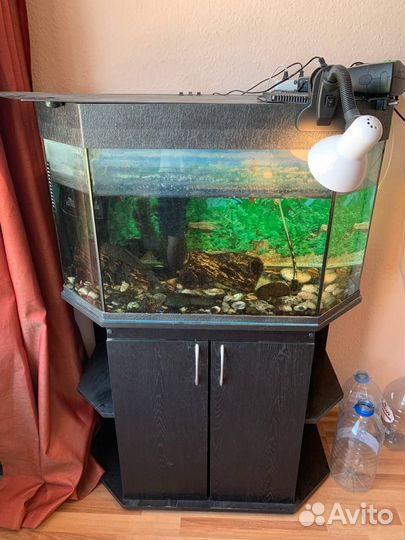 Аквариум с тумбой 170 литров