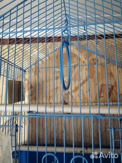 Клетка для птиц бу