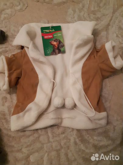 Одежда для маленьких собак