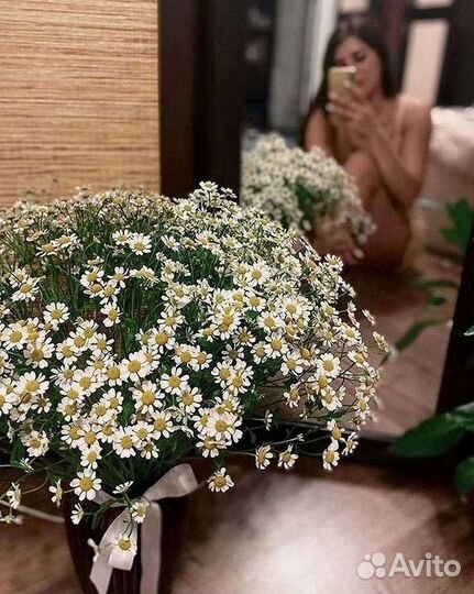 Ромашки Пионы Розы Доставка