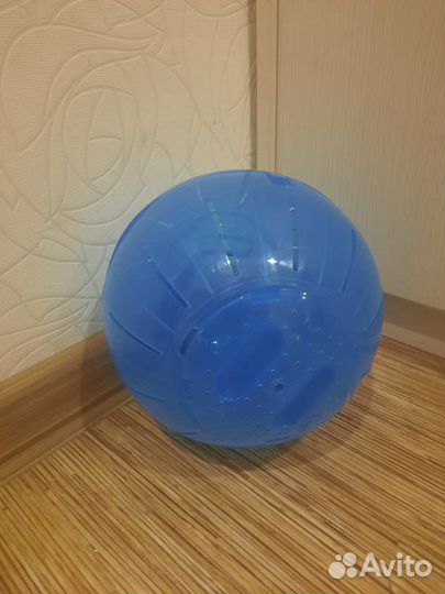 Шар для хомяка большой