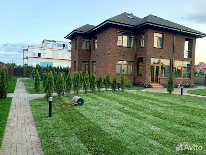 Рулонный газон 