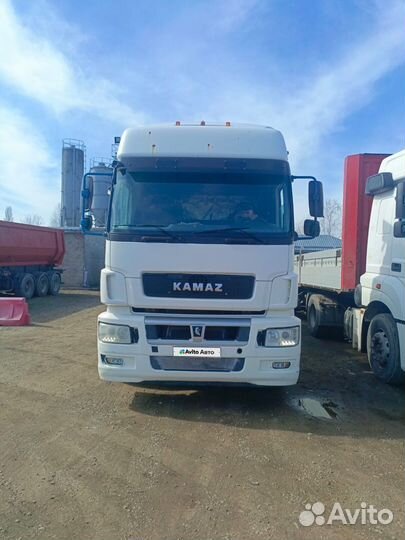 КАМАЗ 5490, 2017