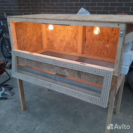 Брудер для цыплят