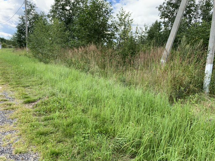 Участок 12 сот. (СНТ, ДНП)