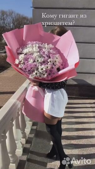 Цветы Букет Хризантем с доставкой