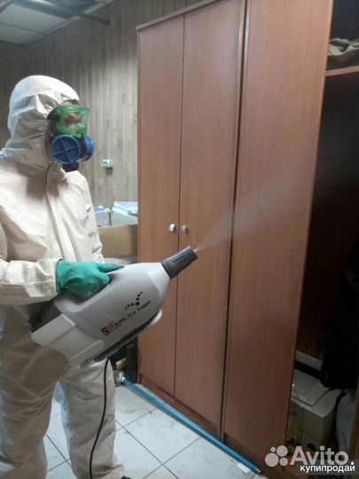 Тараканов клопов клещей комаров плесени борщевика