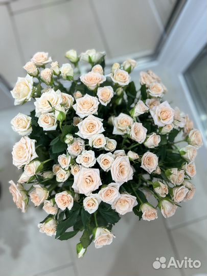 Букеты, композиции из цветов, гелиевые шары