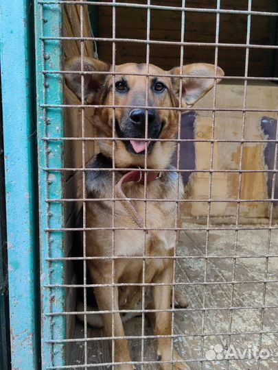 Забава хочет на диванчик