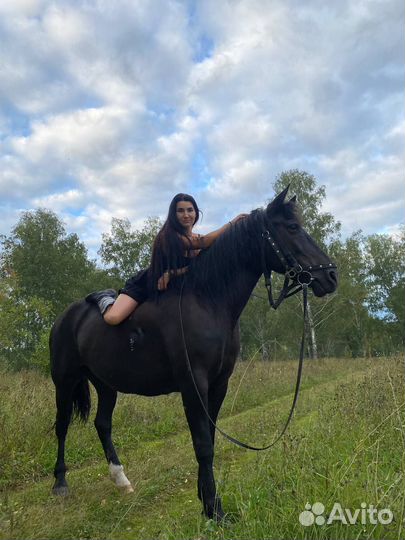 Конные прогулки