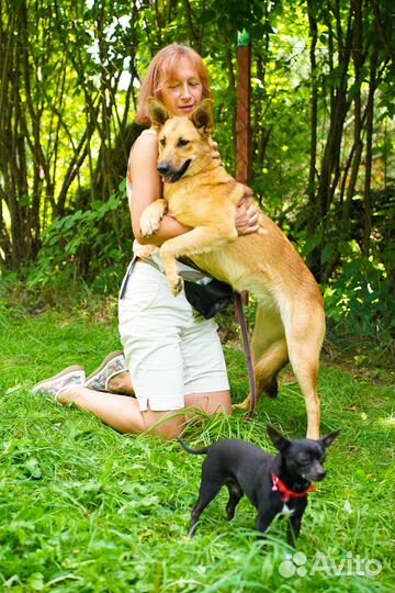 Маша хочет быть вашей