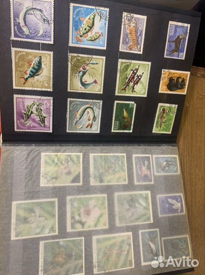 Почтовые марки с альбомом флора и фауна