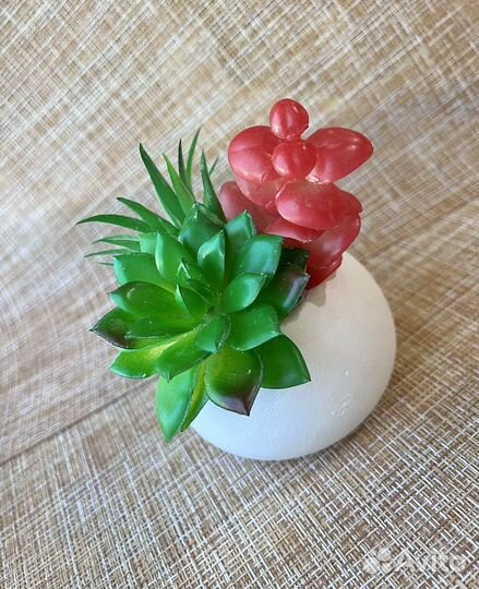 Суккуленты в кашпо Мох