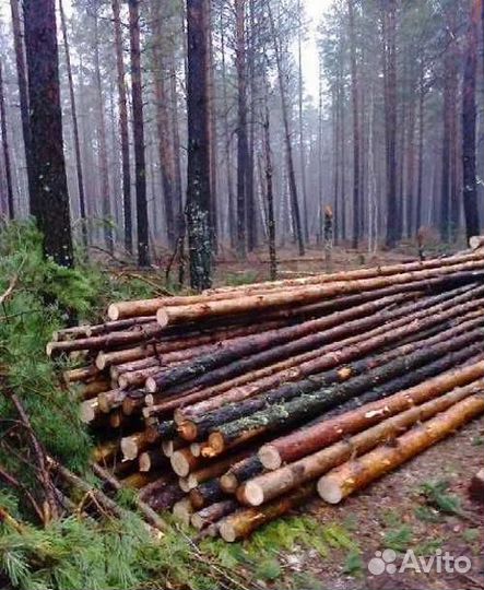 Жердь строительный