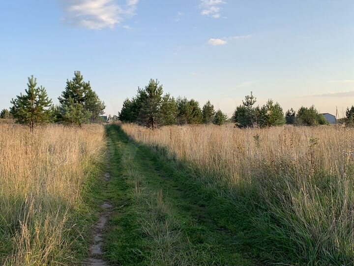 Участок 10 сот. (ИЖС)