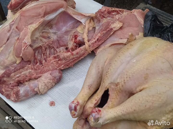 Продукты питания