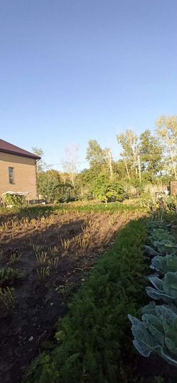 Участок 4 сот. (СНТ, ДНП)