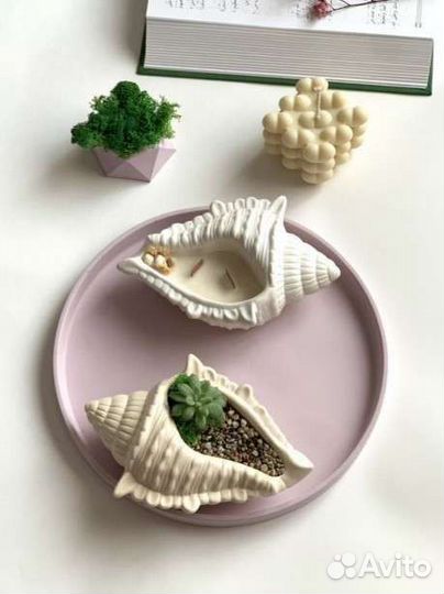 Ракушка/декор