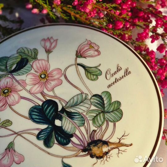 Шкатулка Villeroy&Boch Botanica Oxalis Acetosella 13 cм