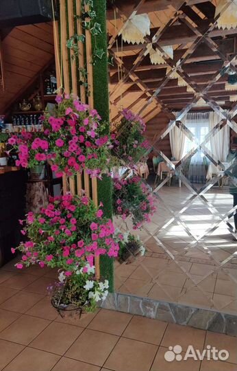 Банкетный зал :свадьбы, торжества