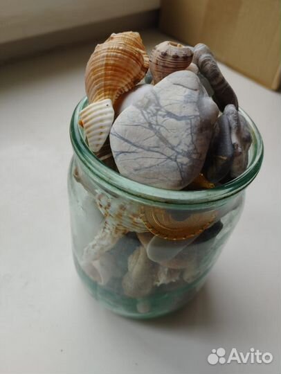 Камушки морские для оформления аквариума