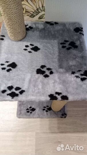 Когтеточка